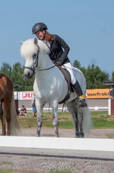 Inlägg 24 av Island