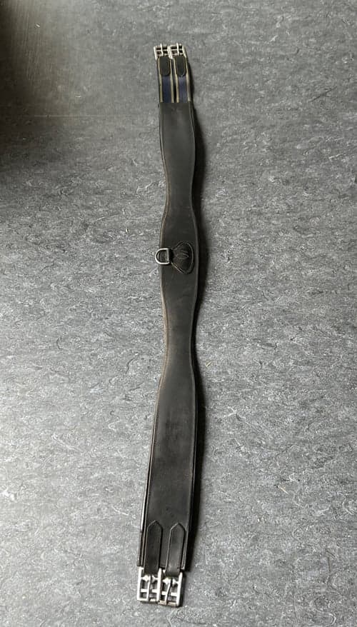 Bild av Svart sadelgjord