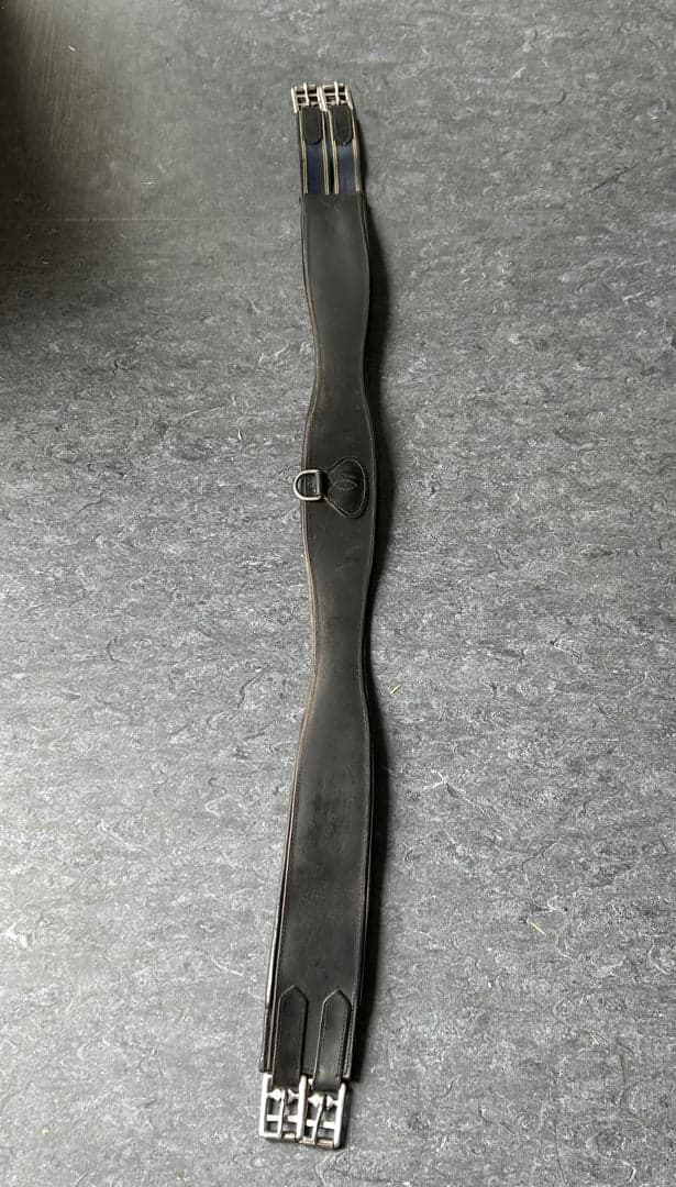 Media 1 av Svart sadelgjord