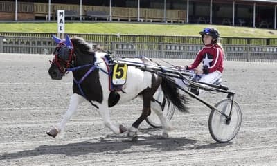 Inlägg 111 av Trav med titeln Ponnytrav 