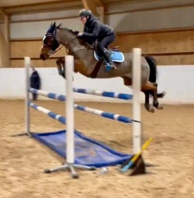 Image 1 of Twilight van prinseveld