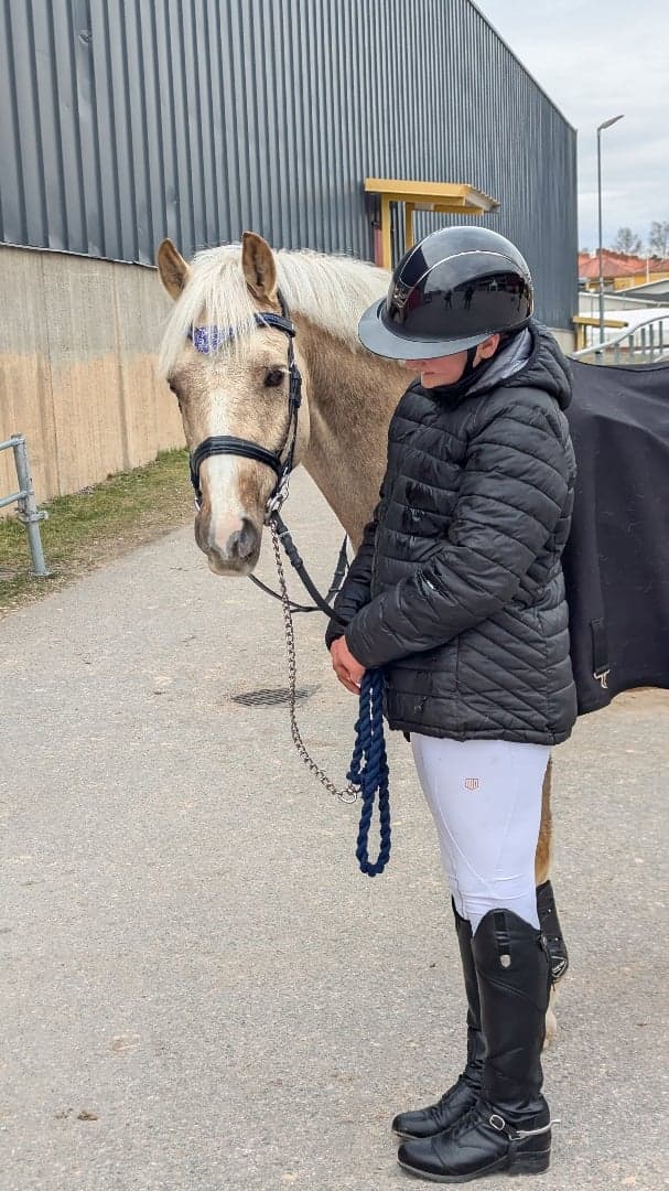 Media 12 av Nexis Lendox