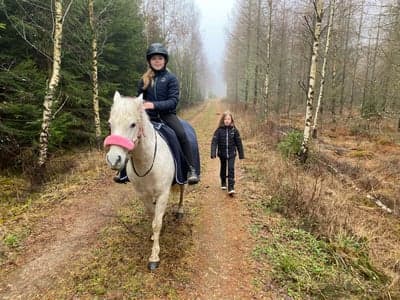 Inlägg 81 av Allround