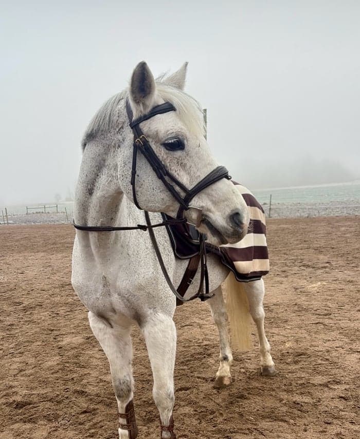 Media 1 av Miss Baju KG