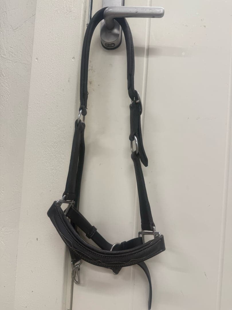 Image 1 of Svart läder grimma med snygga sydda detaljer