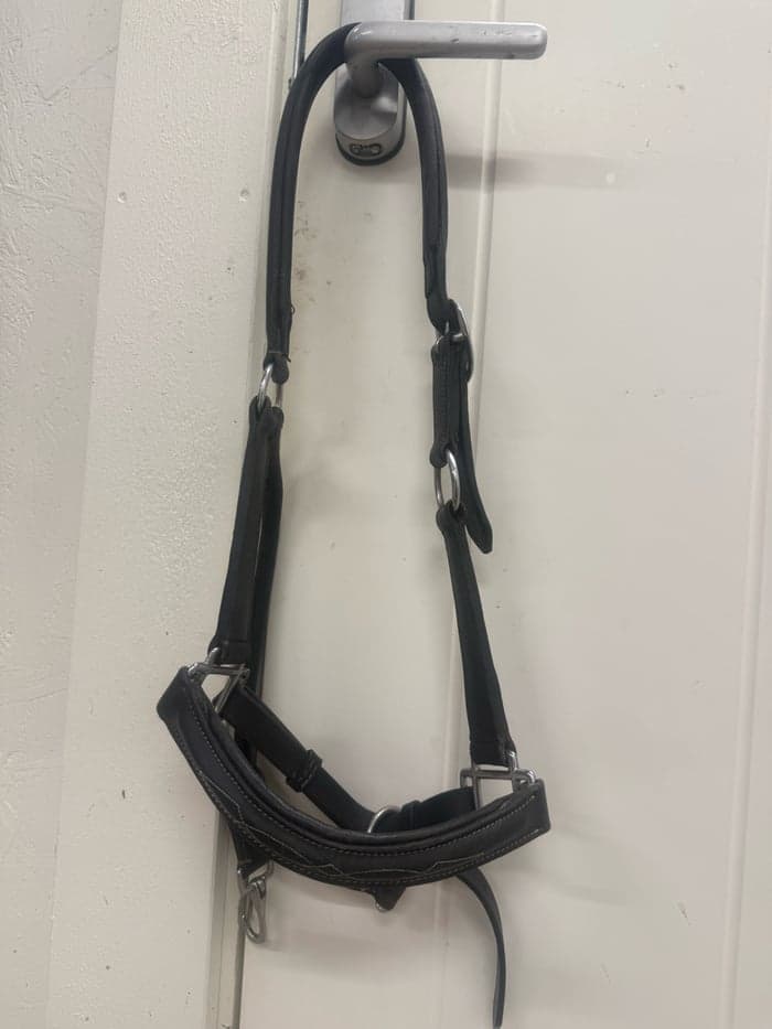 Media 1 av Svart läder grimma med snygga sydda detaljer