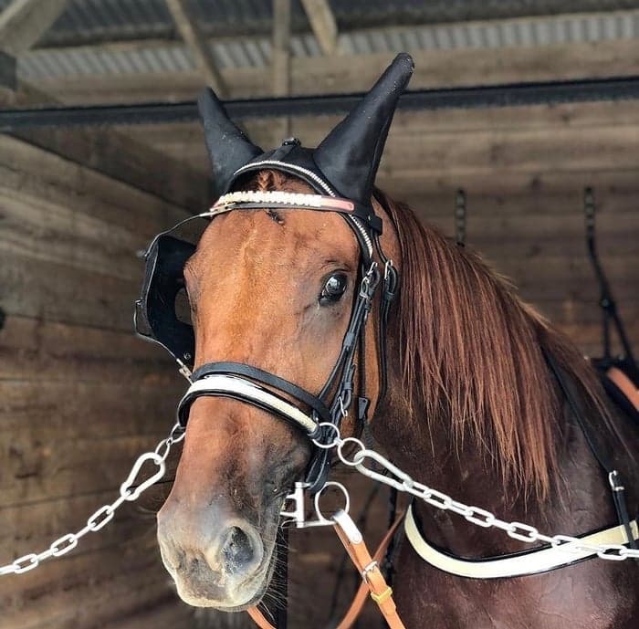 Media 1 av Doyouwantmore