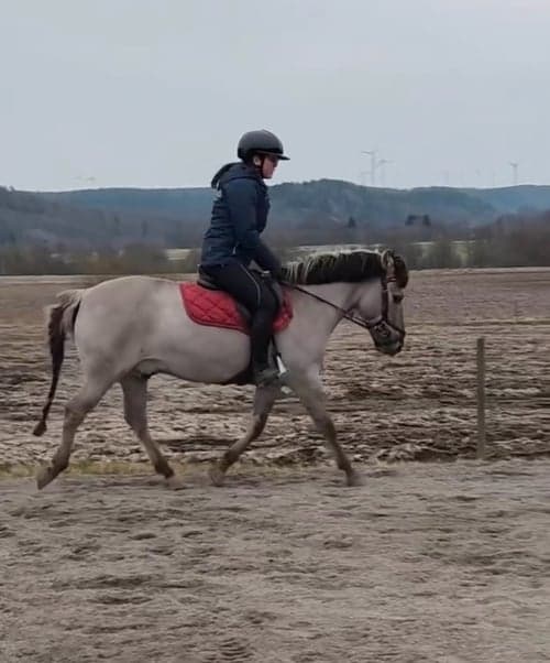 Bild av Maxad b-ponny med egen motor