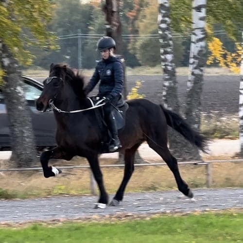 Profilbild av Amanda Oliver