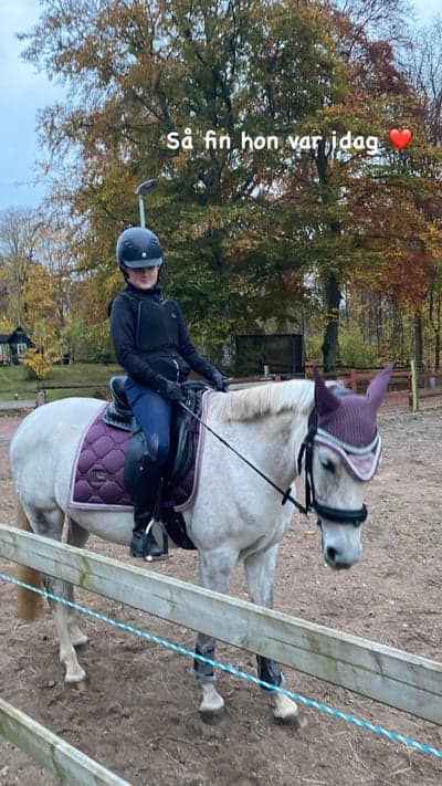 Inlägg 11 av Andalusier med titeln Princessa ❤️