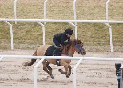 Inlägg 24 av Ponnygalopp med titeln Ponnygalopp 