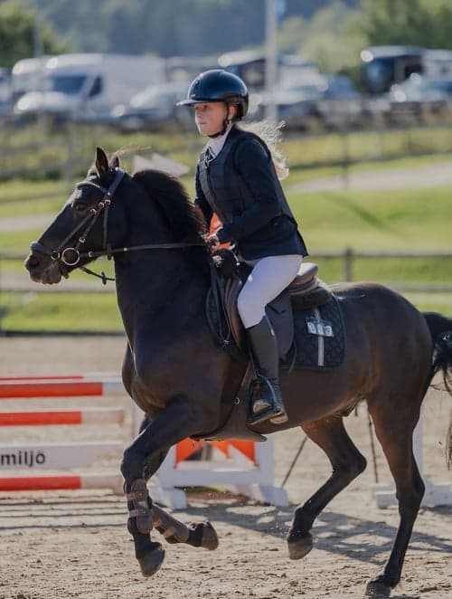 Bild av Ponny med power!