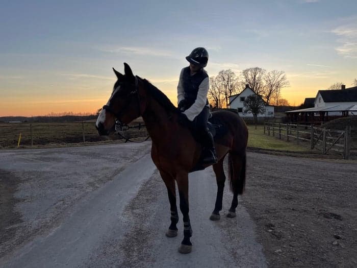 Media 1 av Auburn Daisy Lady