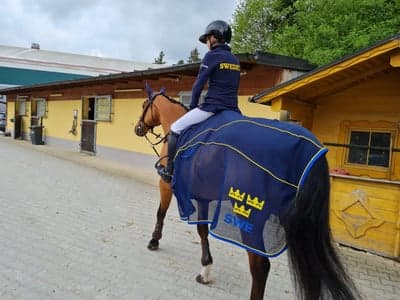 Inlägg 65 av Allround