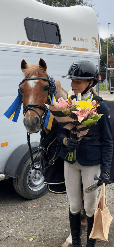 Inlägg 451 av Hoppning