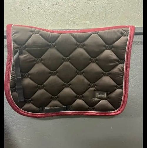 Image of OBS! DETTA FAST I DRESSYR 