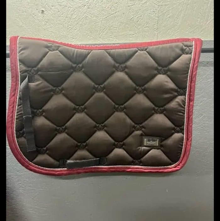 Media 1 of OBS! DETTA FAST I DRESSYR 