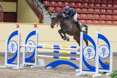 Inlägg 76 av Allround