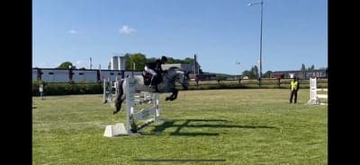 Inlägg 62 av Allround