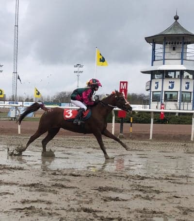 Inlägg 82 av Galopp med titeln Ariel (Highbirch Princess Royal) på Jägersro 