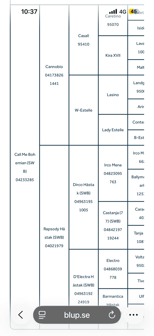 Bild av Framtida stjärna, i fas inför 3-årstestet