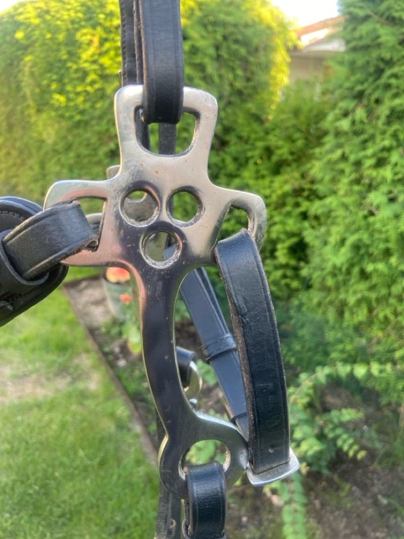 Image 3 of Svart hackamore