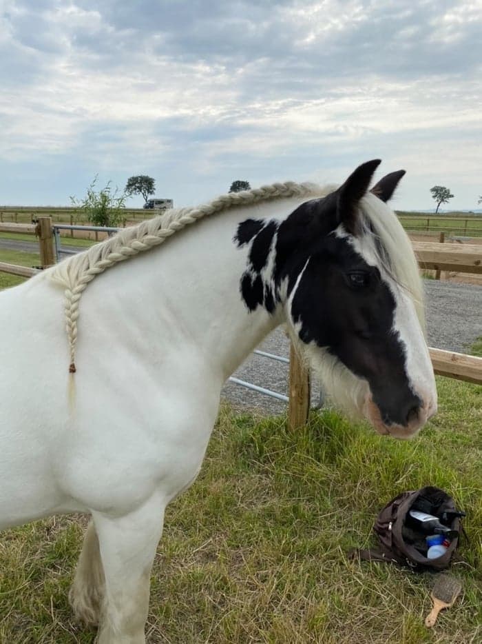 Media 1 av BonnieGirl