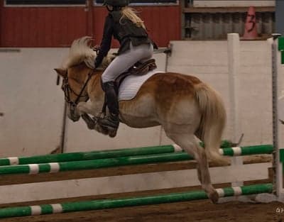 Inlägg 129 av Allround