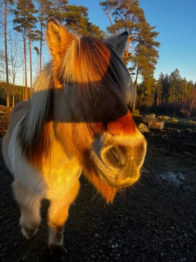 Inlägg 157 av Allround