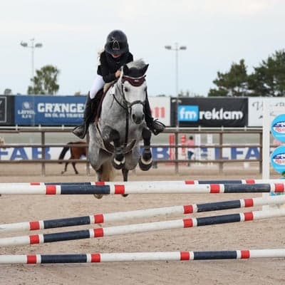 Inlägg 67 av Allround