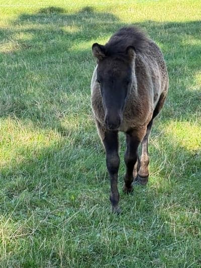 Inlägg 15 av Monté med titeln Porträtt
