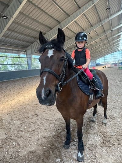 Inlägg 6 av Korsningshäst med titeln Musse blev Florians egna Ponny ❤️