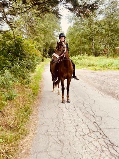 Inlägg 9 av Allround med titeln Alva och Kaj 🥰