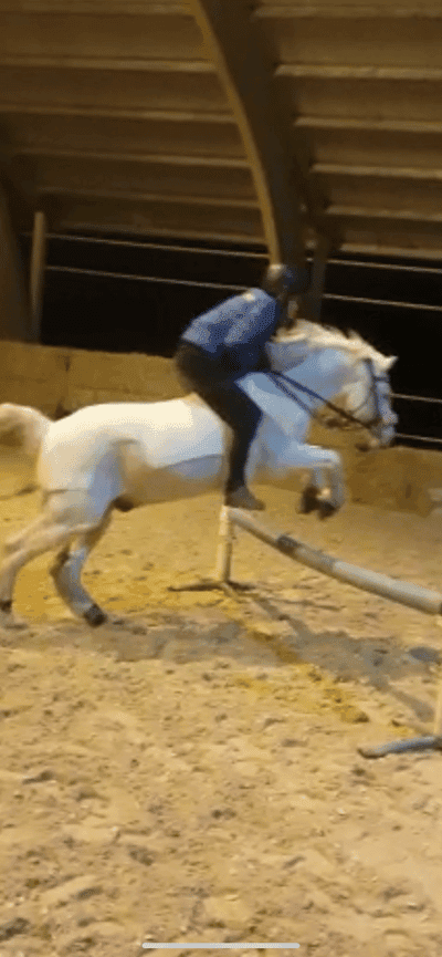 Inlägg 36 av Allround med titeln Barbacka hoppning med gubben clic