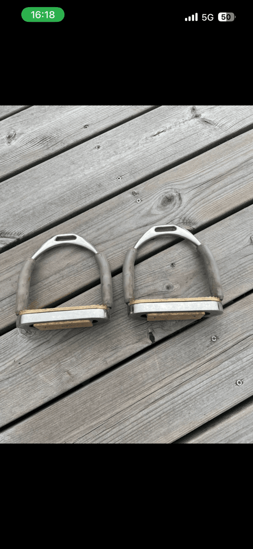 Bild av Grå stigbyglar