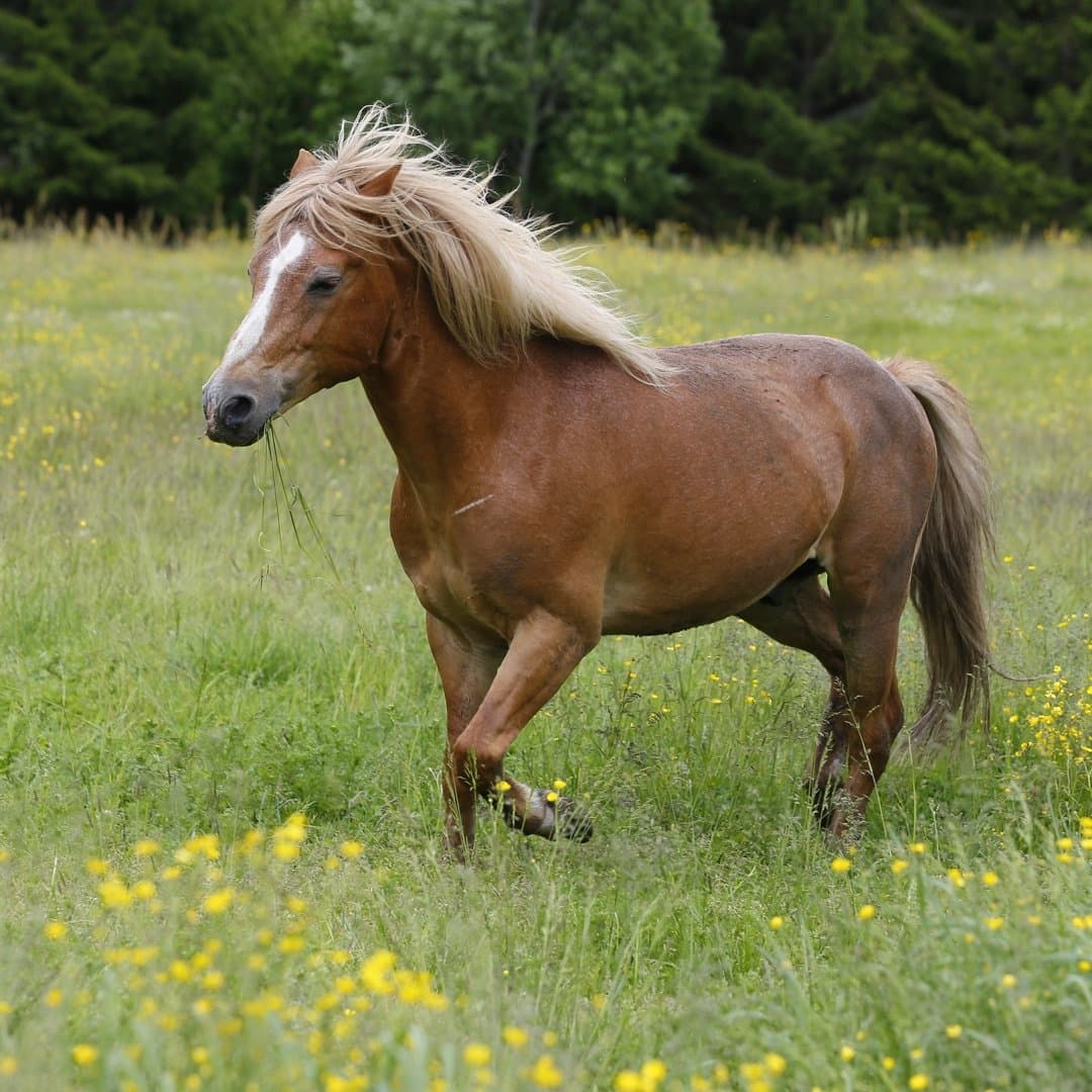 Bild 1 av Gelden