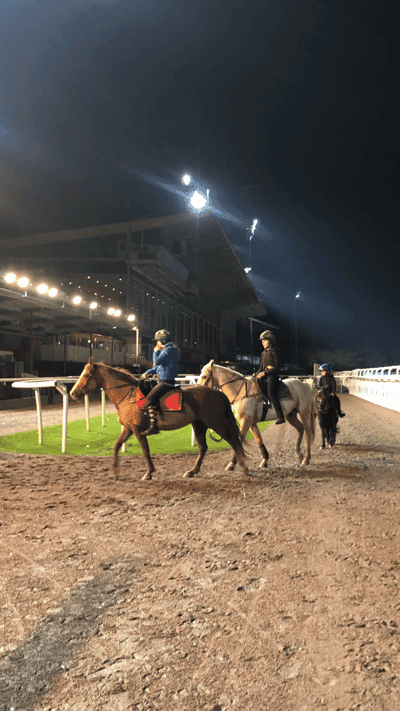 Inlägg 28 av Galopp med titeln Kvällsträning på Jägersro
