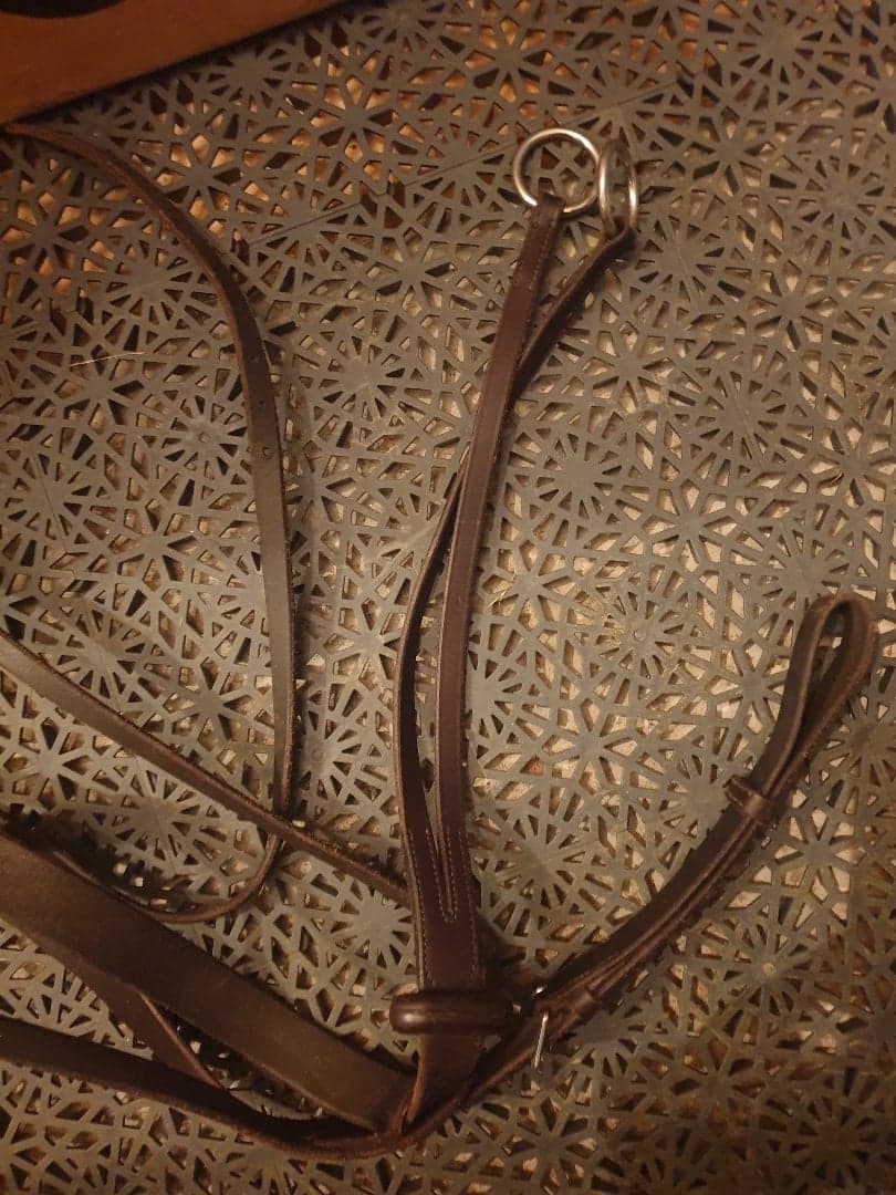 Image 1 of Broun martingal