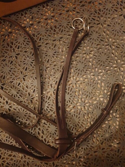 Image of Broun martingal