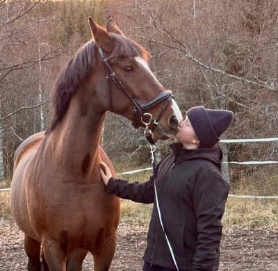 Inlägg 27 av Allround