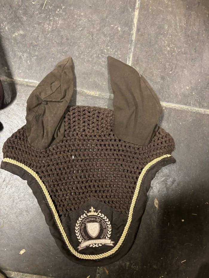 Media 1 of Bruna flughuva från Felix Bühler