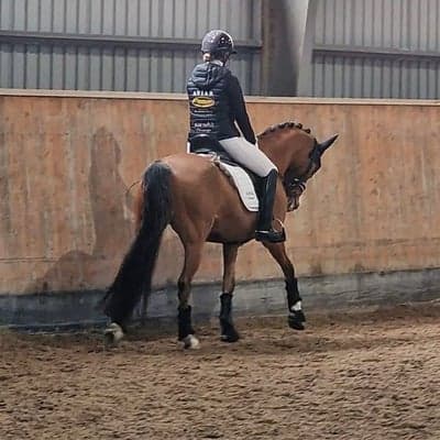 FS Cassidy