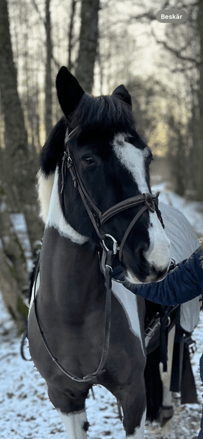 Inlägg 169 av Allround med titeln ❤️❤️❤️