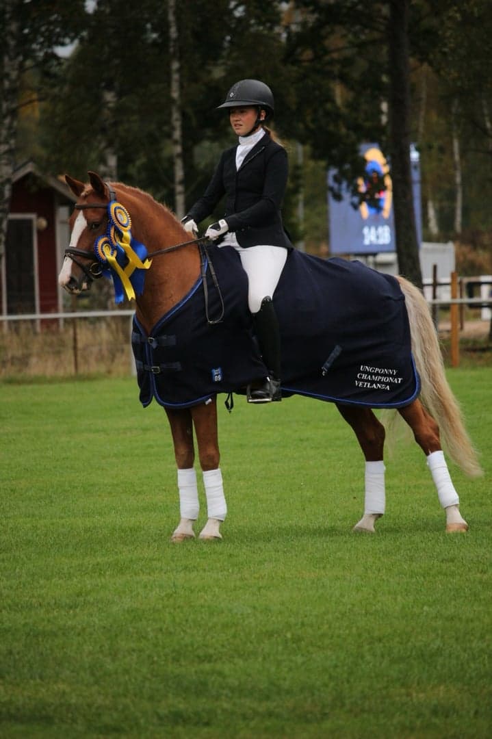 Bild 1 av Stackarps Jalle RNF 237