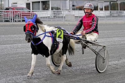 Inlägg 103 av Trav med titeln DPK’s ponnytravgala
