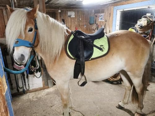 Bild av Trevlig kille 