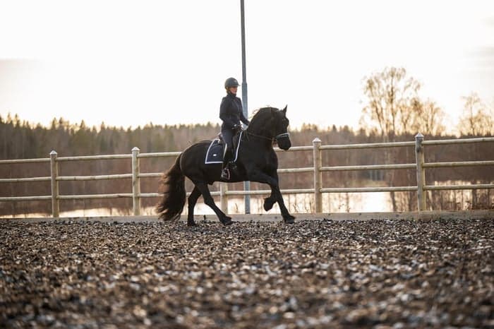 Media 4 av Matheus af Gisslarbo