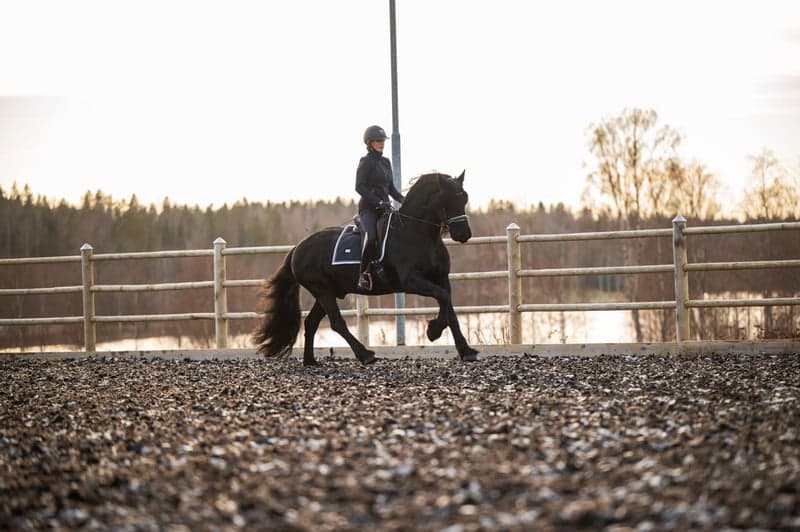 Bild 4 av Matheus af Gisslarbo