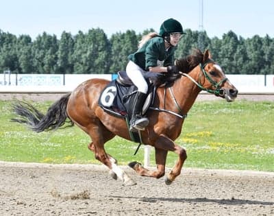 Inlägg 12 av Galopp med titeln Vandas första ponnygaloppvinst🥰