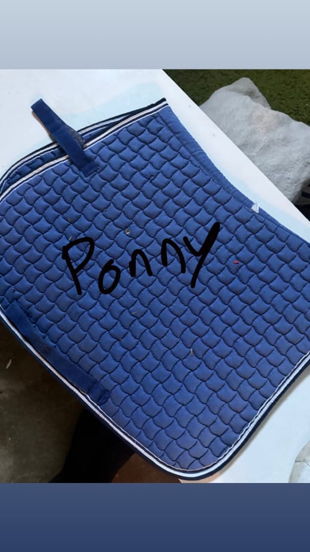 Bild 1 av Blå schabrak